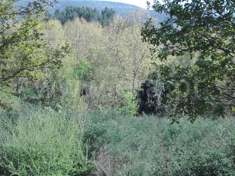 Terreno  Mondim de Basto - 990787 - 7