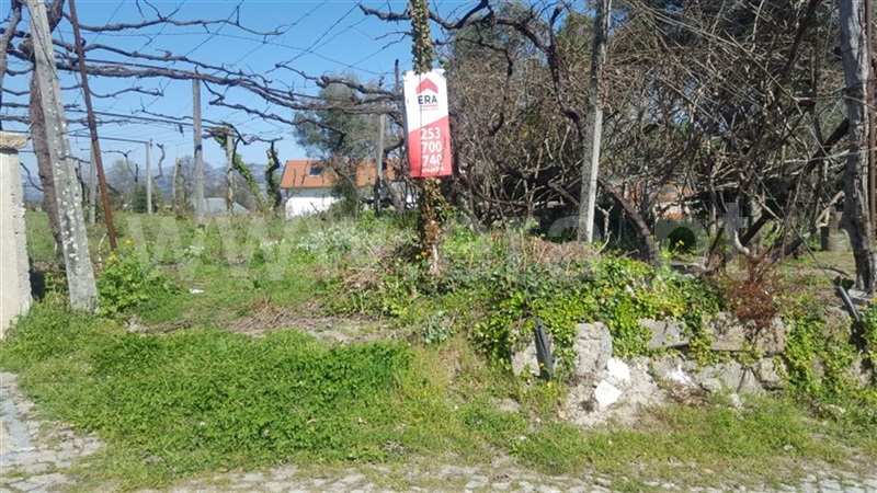 Terreno / Mondim de Basto, Mondim de Basto