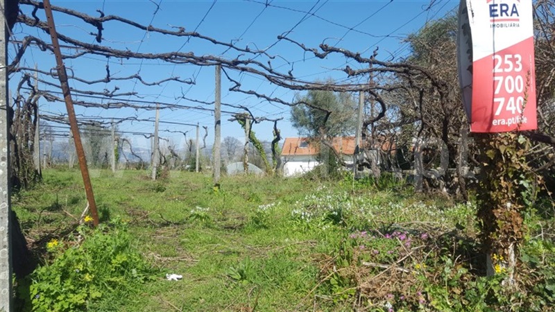 Terreno  Mondim de Basto - 997450 - 4