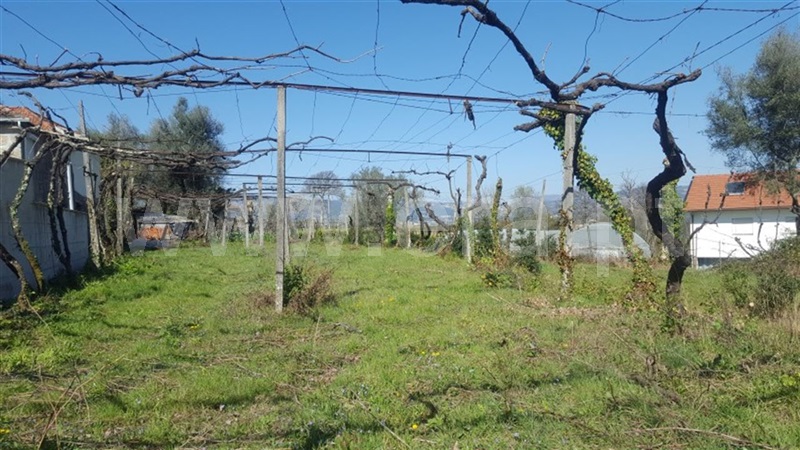 Terreno  Mondim de Basto - 997450 - 3