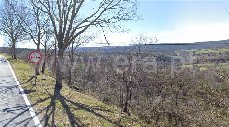Terreno / Montalegre, Cervos