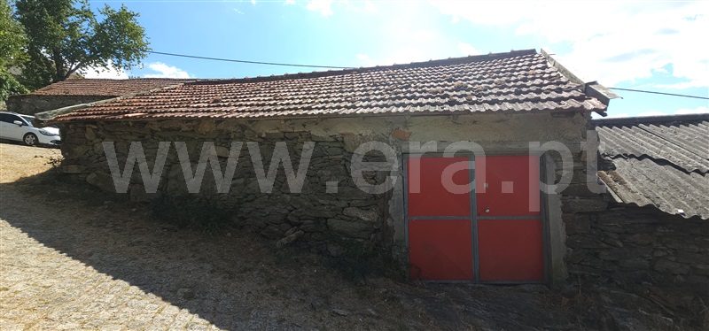 Terreno / Montalegre, Ferral