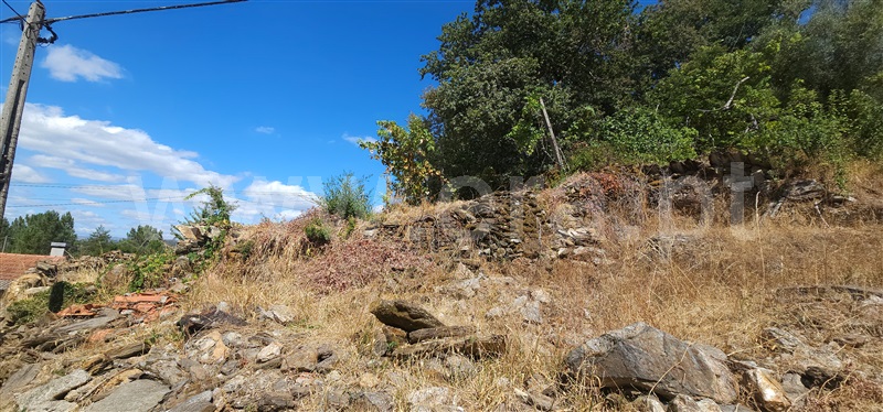 Terreno  Montalegre, Ferral - 1503437 - 6