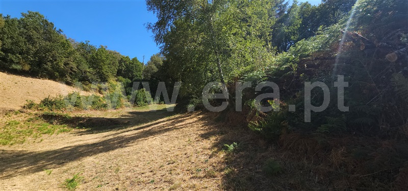 Terreno / Montalegre, Ferral