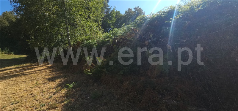Terreno  Montalegre, Ferral - 1503440 - 3
