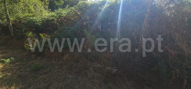 Terreno  Montalegre, Ferral - 1503440 - 4