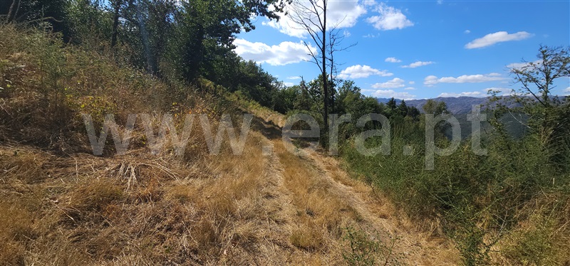 Terreno  Montalegre, Ferral - 1503440 - 6
