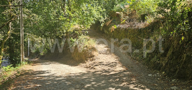 Terreno  Montalegre, Ferral - 1503440 - 7