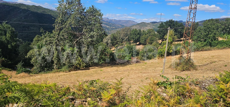 Terreno / Montalegre, Ferral