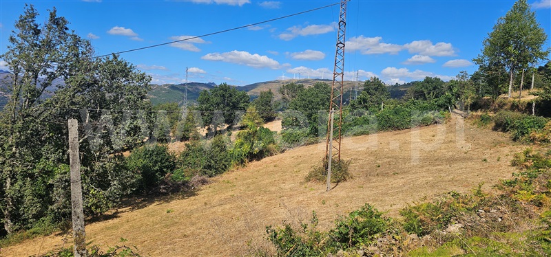 Terreno  Montalegre, Ferral - 1503444 - 4