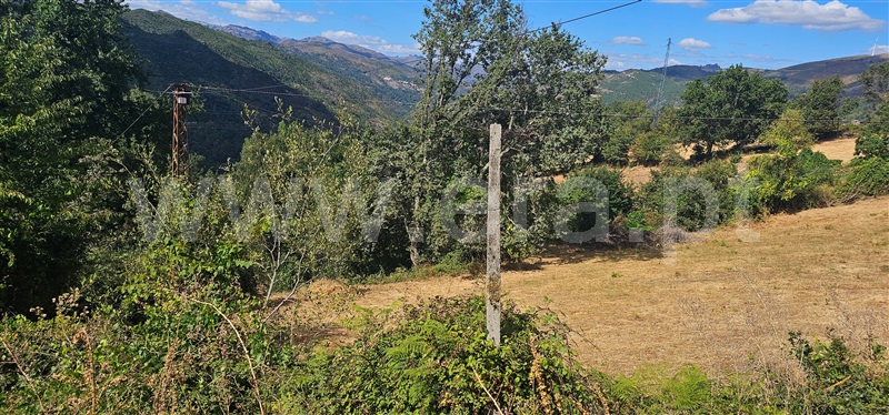 Terreno  Montalegre, Ferral - 1503444 - 5