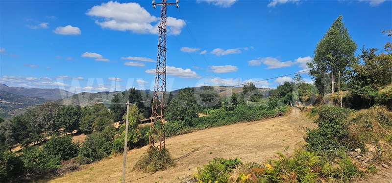 Terreno  Montalegre, Ferral - 1503444 - 6