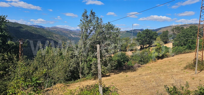 Terreno  Montalegre, Ferral - 1503444 - 7