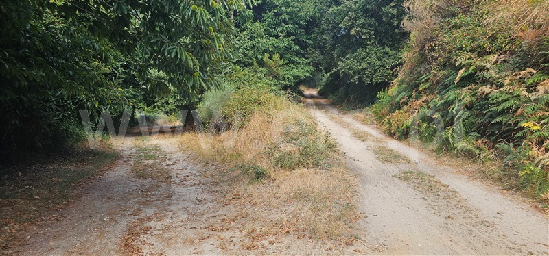 Terreno  Montalegre, Ferral - 1503444 - 8