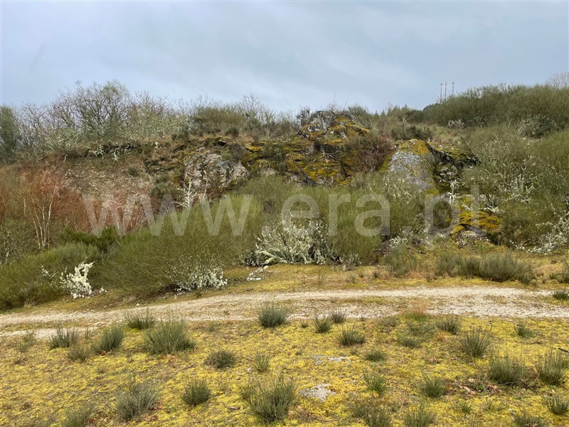 Terreno  Montalegre, Montalegre e Padroso - 1294084 - 3