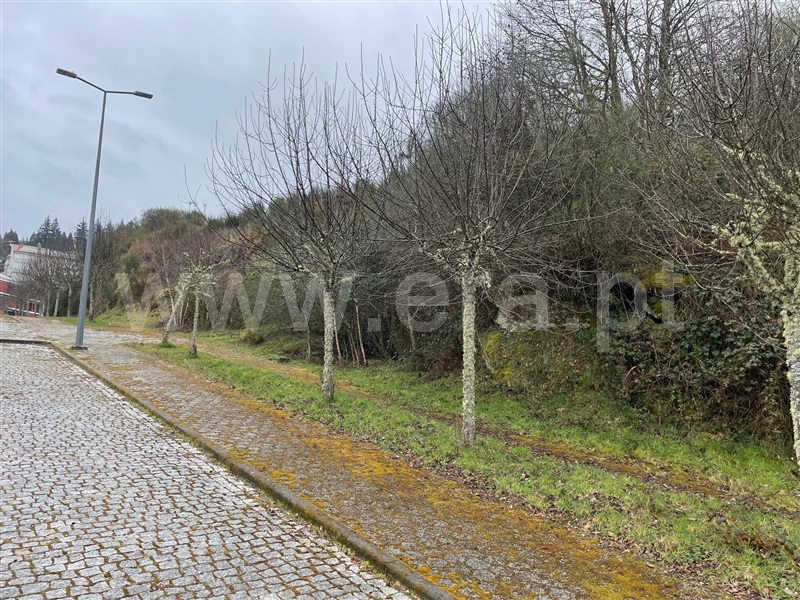 Terreno  Montalegre, Montalegre e Padroso - 1294084 - 6