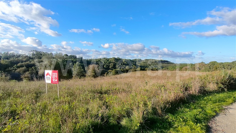 Terreno  Montemor-o-Velho, Abrunheira, Verride e Vila Nova da Barca - 1446474 - 3