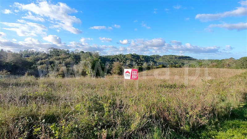 Terreno  Montemor-o-Velho, Abrunheira, Verride e Vila Nova da Barca - 1446474 - 5