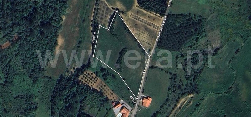 Terreno  Montemor-o-Velho, Abrunheira, Verride e Vila Nova da Barca - 1446474 - 6
