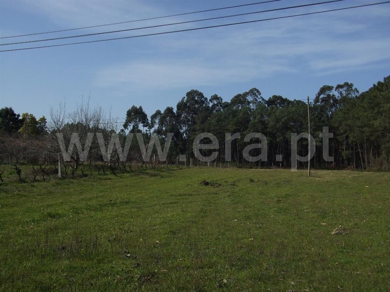 Terreno  Montemor-o-Velho, Amieiro - 1085404 - 3