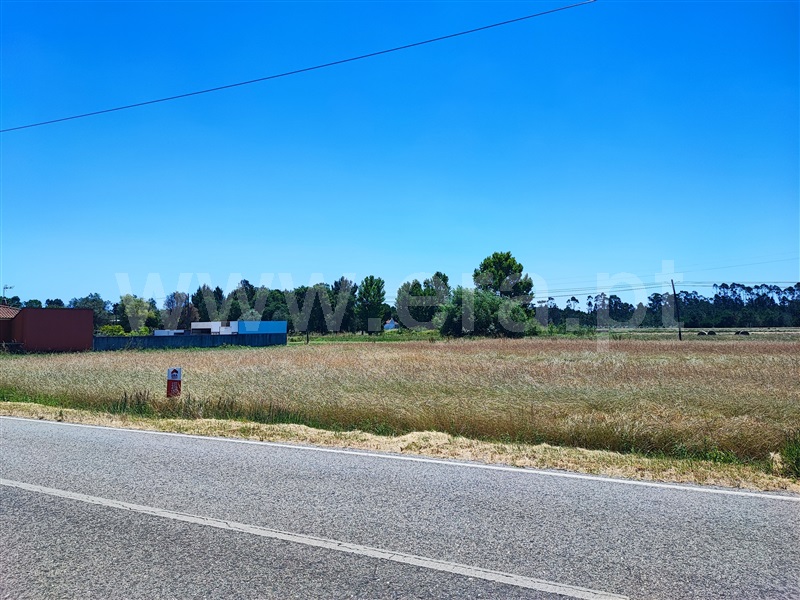 Terreno / Montemor-o-Velho, Bunhosa
