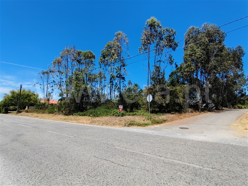 Terreno / Montemor-o-Velho, Bunhosa
