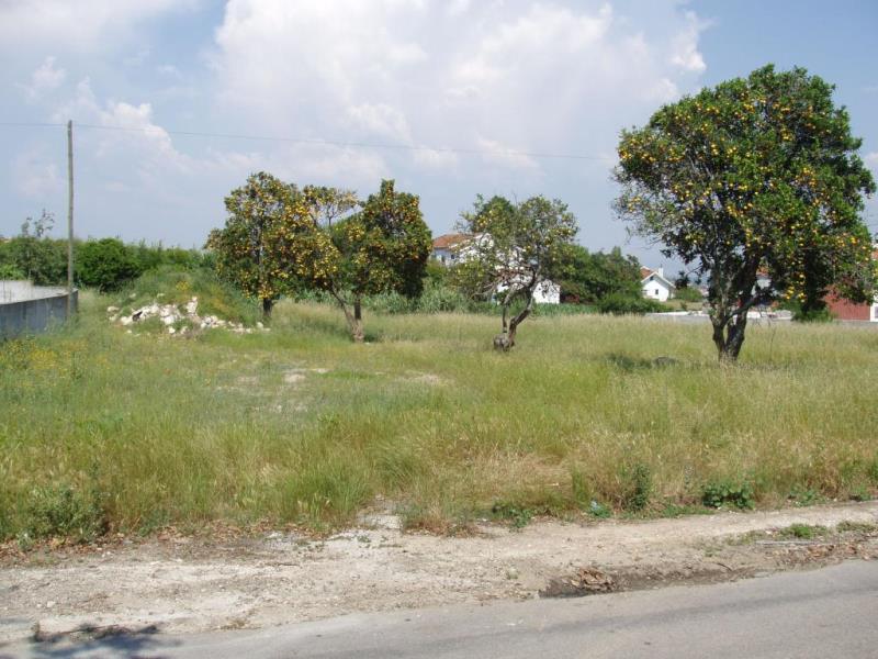 Terreno / Montemor-o-Velho, Carapinheira