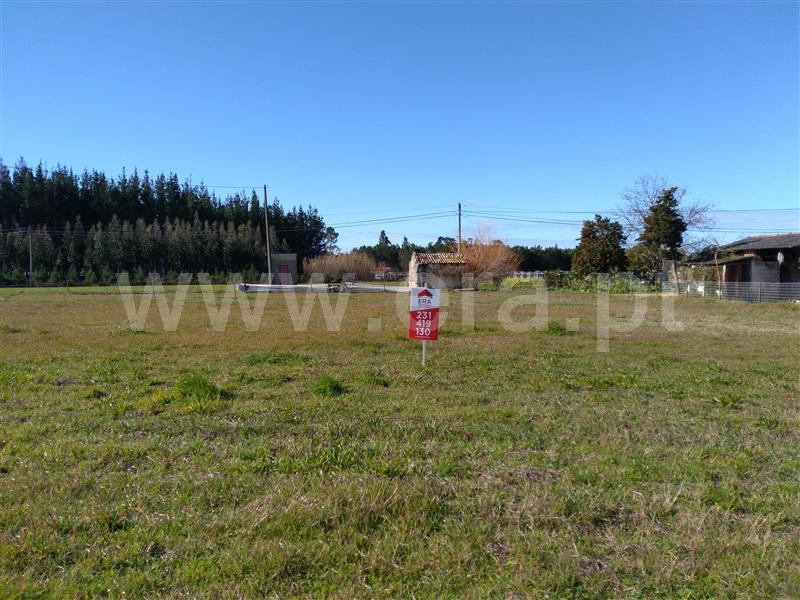 Terreno / Montemor-o-Velho, Catarruchos