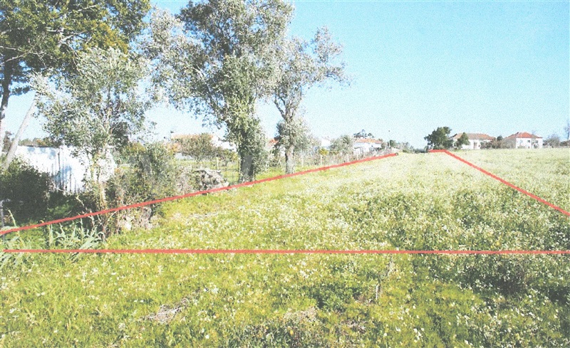 Terreno / Montemor-o-Velho, Seixo de Gatões