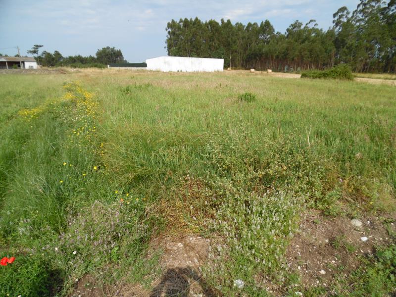 Terreno  Montemor-o-Velho, Viso - Arazede - 657161 - 5