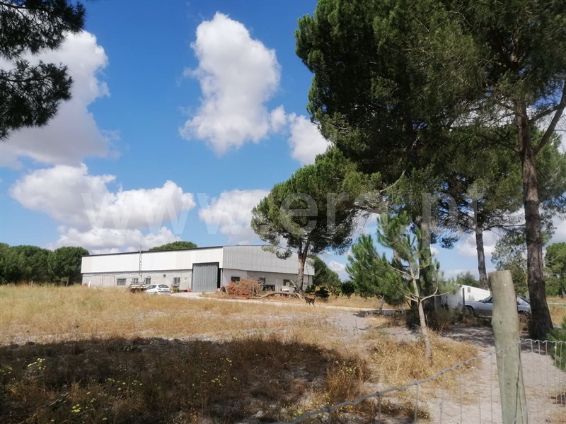 Terreno / Montijo, Pegões