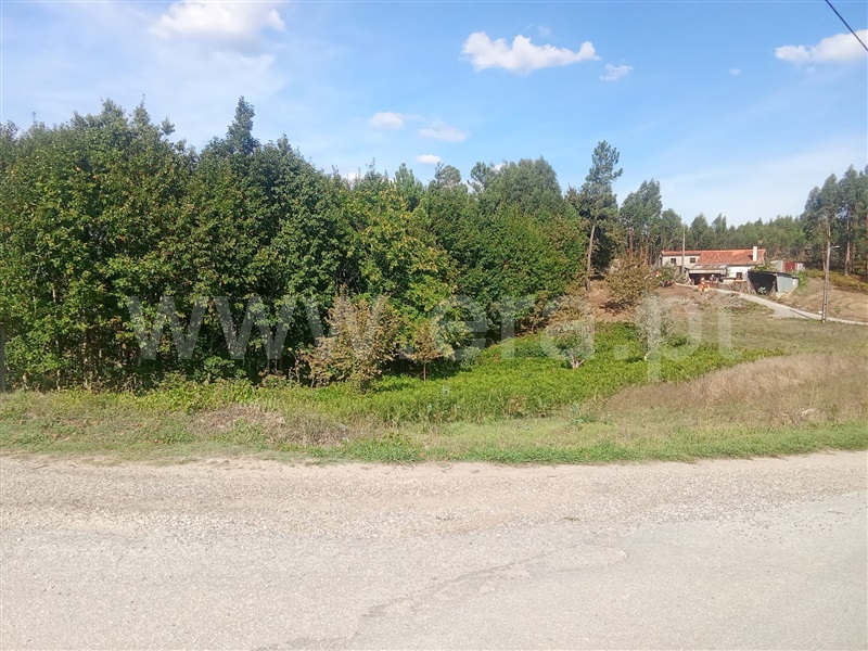 Azenha  Mortágua, Espinho - 1504650 - 3