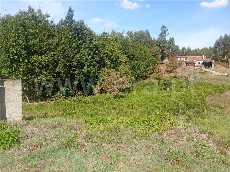 Terreno / Mortágua, Espinho