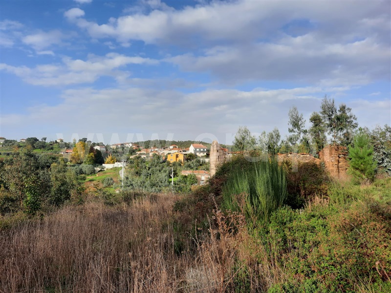 Terreno  Mortágua, Mortágua, Vale de Remígio, Cortegaça e Almaça - 1442061 - 1