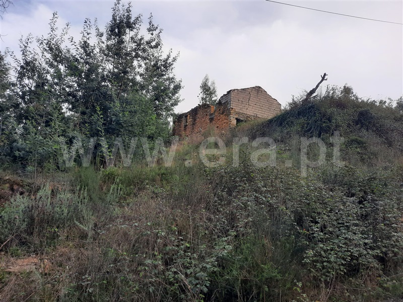 Terreno  Mortágua, Mortágua, Vale de Remígio, Cortegaça e Almaça - 1442061 - 3
