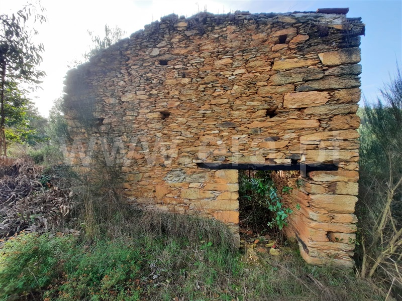 Terreno  Mortágua, Mortágua, Vale de Remígio, Cortegaça e Almaça - 1442061 - 5