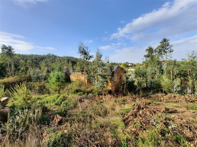 Terreno / Mortágua, Mortágua, Vale de Remígio, Cortegaça e Almaça