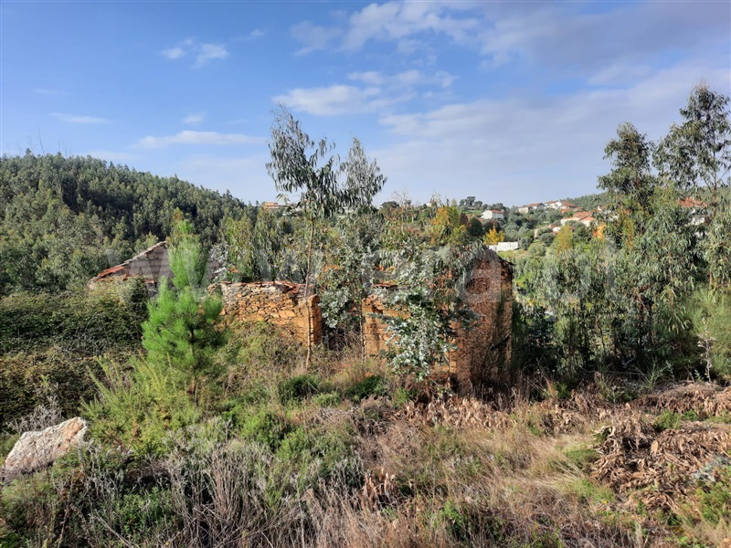 Terreno  Mortágua, Mortágua, Vale de Remígio, Cortegaça e Almaça - 1442061 - 7