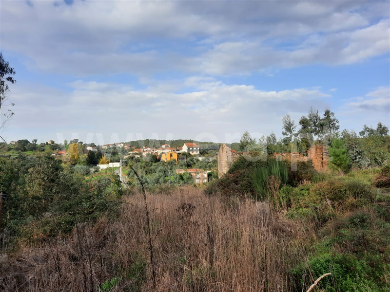 Terreno  Mortágua, Mortágua, Vale de Remígio, Cortegaça e Almaça - 1442061 - 8