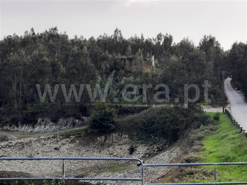 Terreno  Mortágua, Mortágua, Vale de Remígio, Cortegaça e Almaça - 1442061 - 11