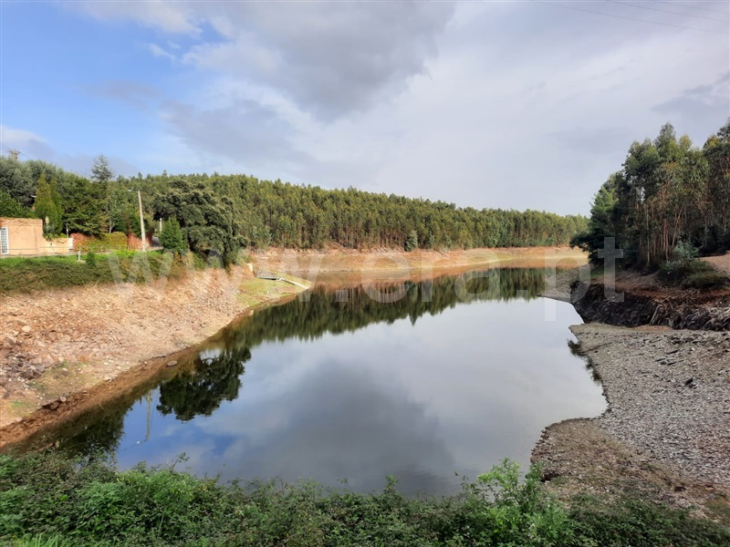 Terreno  Mortágua, Mortágua, Vale de Remígio, Cortegaça e Almaça - 1442061 - 12