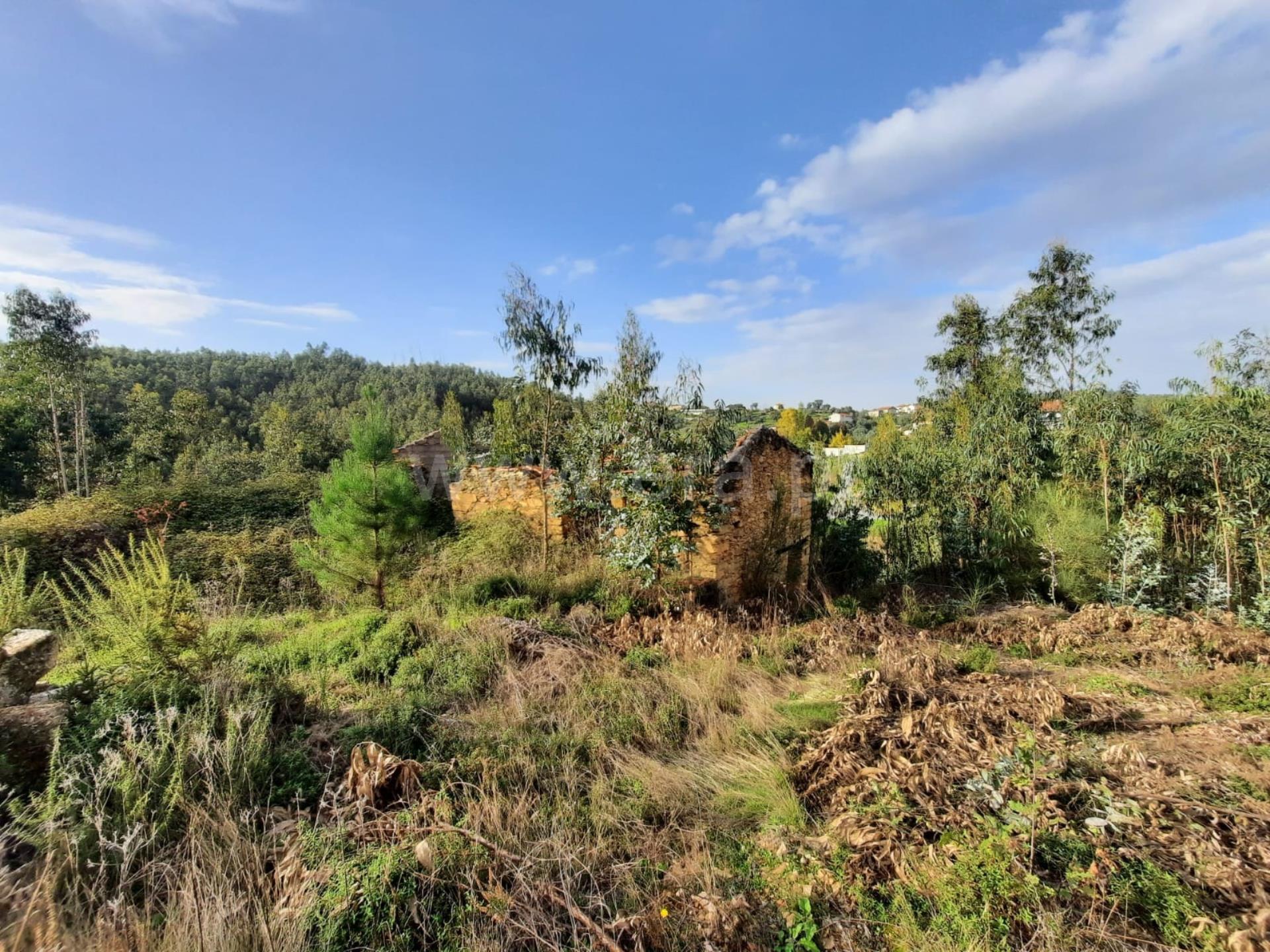 Land for sale in Mortágua, Portugal — €85,000