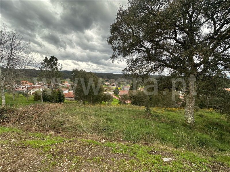 Terreno Rústico  Mortágua, Mortágua, Vale de Remígio, Cortegaça e Almaça - 1467670 - 3