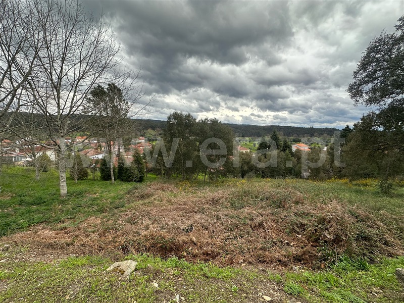 Terreno Rústico  Mortágua, Mortágua, Vale de Remígio, Cortegaça e Almaça - 1467670 - 4