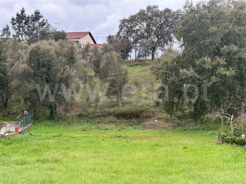 Terreno Rústico  Mortágua, Mortágua, Vale de Remígio, Cortegaça e Almaça - 1467670 - 6