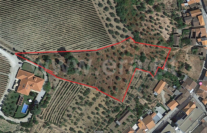 Terreno / Murça, Murça