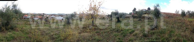 Terreno  Murça - 944217 - 3