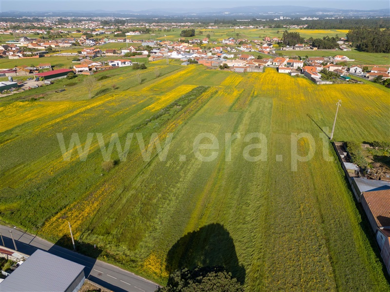 Terreno / Murtosa, Bunheiro