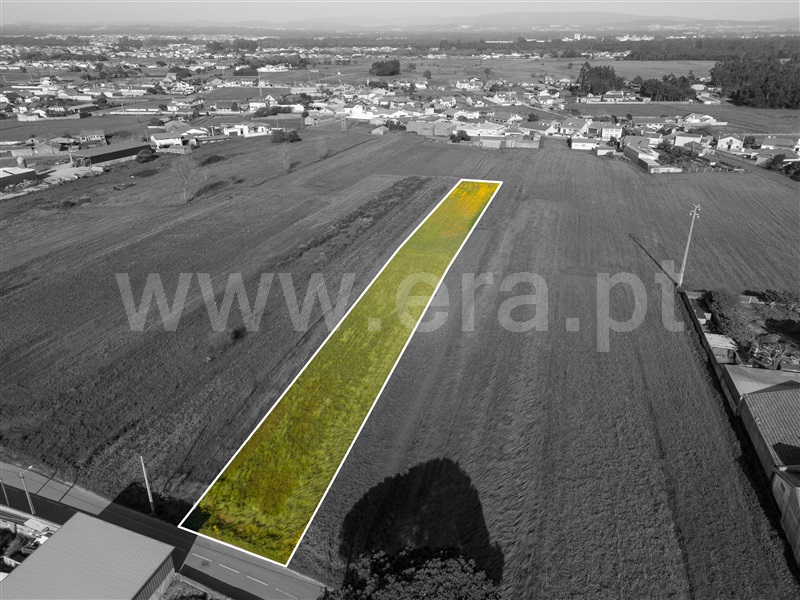 Terreno / Murtosa, Bunheiro