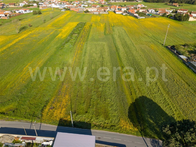 Terreno  Murtosa, Bunheiro - 1390125 - 7